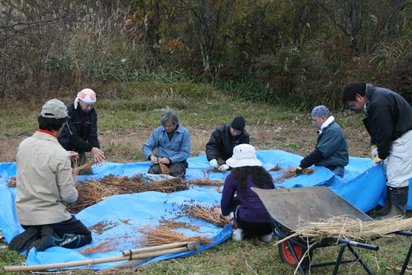 �E�����i